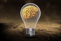 Ideas, Brains, Innovation, Success, Goals, Business Royalty Free Stock Photo