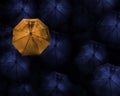 abstract concept of leader with with many dark and a orange umbrella.