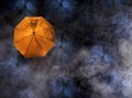 abstract concept of leader with with many dark and a orange umbrella.