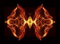 Abstract conceptual design. Fiery butterfly over black Royalty Free Stock Photo
