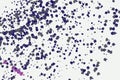 Abstract conceptual motion, particle or random pattern. Backdrop, repeat, canvas & texture. Royalty Free Stock Photo