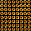 Abstract and contemporary digital art floral sunflower design