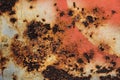 Abstract corroded colorful rusty metal background. Royalty Free Stock Photo