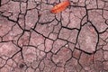 Abstract crack texture on dry soil background Royalty Free Stock Photo