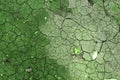 Abstract crack texture on dry soil with green filter effect Royalty Free Stock Photo