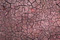 Abstract crack texture on dry soil Royalty Free Stock Photo