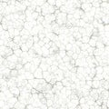 Abstract Cracked Broken Pattern Seamless Crackle Texture