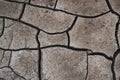 Abstract cracked soil background. Soil texture. Grey soil