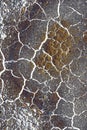 Abstract cracked texture background Royalty Free Stock Photo