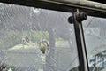 Abstract Cracked Window Glass on Antique Truck Royalty Free Stock Photo