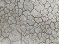 Abstract Crackled Concrete Background in Grey