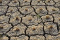 The abstract of the cracks of the ground according to the tropical climate Royalty Free Stock Photo