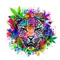 Abstract creative illustration with colorful lion Royalty Free Stock Photo