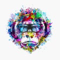 Abstract Creative Illustration With Colorful Monkey