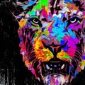 Abstract creative illustration with colorful tiger