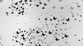 an abstract and creative wall design featuring a swarm of delicate white butterflies in flight. The composition Royalty Free Stock Photo