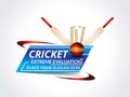 Abstract cricket background with bat