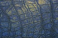 Abstract crocodile leather texture background. Blue and gold color Royalty Free Stock Photo