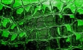 Abstract crocodile leather texture background