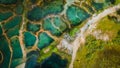 Abstract crystal clear Emerald pool during sunrise F. Royalty Free Stock Photo