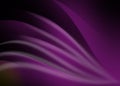 Abstract curve and line purple background