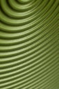 Abstract curved different nuances of green background