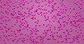 Abstract 3d balls in pink background render