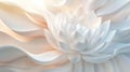 Soft White Lotus Flower Petals, Serene Beauty, Abstract Organic Forms, Gentle Light Royalty Free Stock Photo