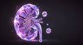 Abstract 3D Render of a Kidney Conceptual Healthcare Illustration Medical Visualization Royalty Free Stock Photo