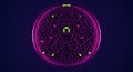 Abstract 3D rendering of a circular cellular structure with purple background and colorful organic pattern Royalty Free Stock Photo
