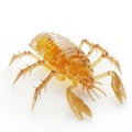 Amber Glass Scorpion, Detailed 3D Render Royalty Free Stock Photo