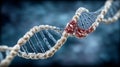 Abstract 3D visualization of DNA double helix with damaged section highlighted in red, genetic mutation leading to cancer, modern Royalty Free Stock Photo