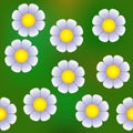 Abstract daisy semaless pattern Royalty Free Stock Photo
