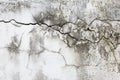 Crack texture on old white cement wall background Royalty Free Stock Photo