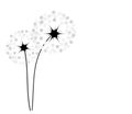 Abstract dandelion background  vector illustration Royalty Free Stock Photo