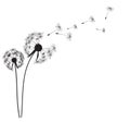 Abstract Dandelion Background Vector Illustration Royalty Free Stock Photo