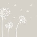 Abstract Dandelion Background with white flowers on beige background.