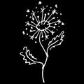 Abstract dandelion flower outline icon isolated on black background. Creative luxury fashion logotype concept icon. Hand Drawn Royalty Free Stock Photo