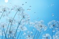 abstract Dandelion flower seeds with water drops background with blue sky, photo by Generative AI Royalty Free Stock Photo