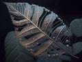 Abstract dark black leaf skeleton background created with Generative AI technology Royalty Free Stock Photo
