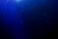 Abstract dark blue background with floating and reflecting dust, radial motion blur