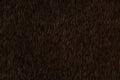 Dark brown animal hair texture background Royalty Free Stock Photo