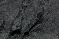 Abstract dark gray rock realistic retro vintage natural wave futuristic marble texture on rock