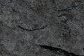 Abstract dark gray rock realistic retro vintage natural wave futuristic marble texture on rock