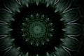 Abstract dark green mandala floral pattern of palm monstera leaves with kaleidoscope effect.