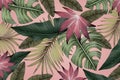 Abstract dark green and pink tropical leaves botanical pattern on dark black Royalty Free Stock Photo