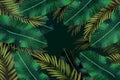 Abstract dark green tropical leaves botanical pattern on dark black Royalty Free Stock Photo