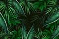 Abstract dark green tropical leaves botanical pattern on dark black Royalty Free Stock Photo