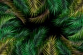 Abstract dark green tropical leaves botanical pattern on dark black Royalty Free Stock Photo
