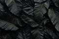 Abstract dark leaves for tropical leaf background. Generative AI